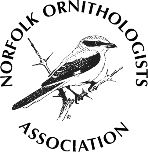 Norfolk Ornithologists Association - NOA