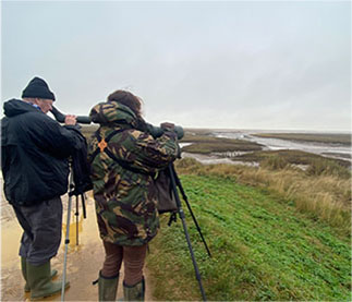 Norfolk Ornithologists Association