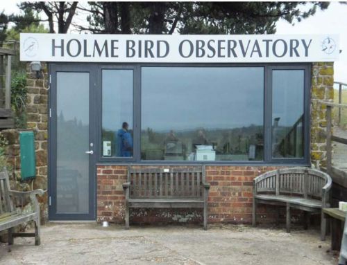 Observatory Holme