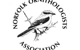 Norfolk Ornithologists Association - NOA
