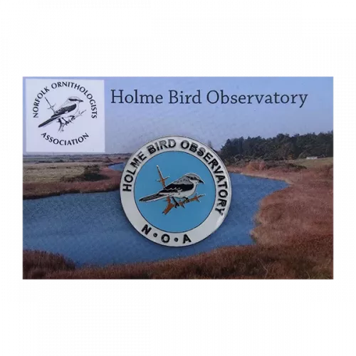 NOA / Holme Bird Observatory pin badge