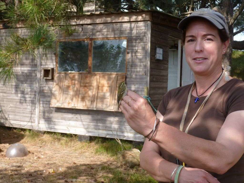 Vacancy For Assistant Warden At NOA NOA Holme